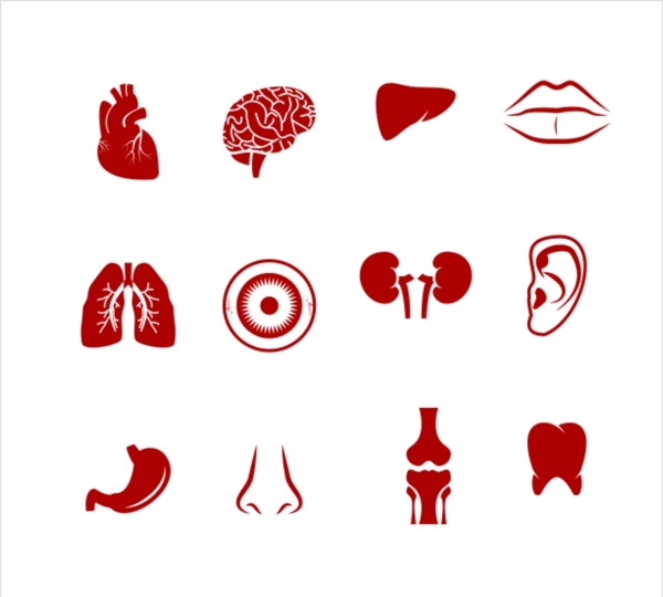 人体器官图标icon