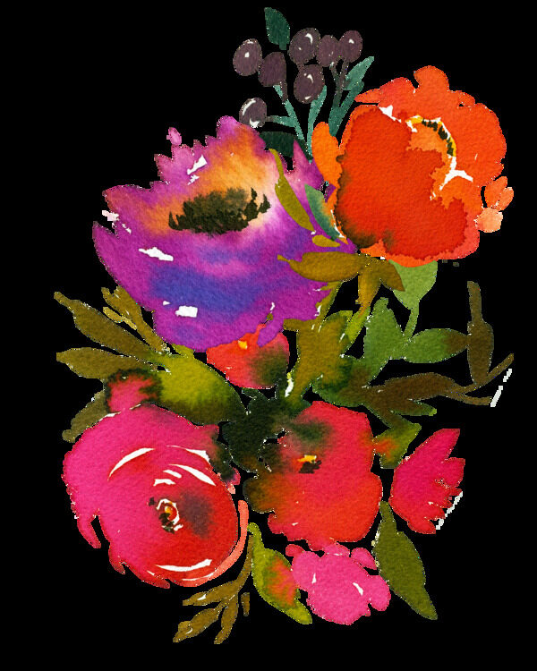 手绘颜色鲜艳的花卉png透明素材