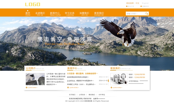 企業(yè)網(wǎng)站