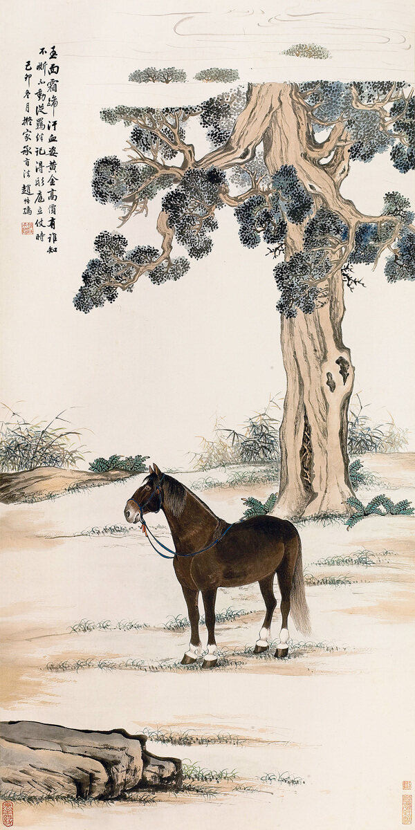 汗血馬圖片
