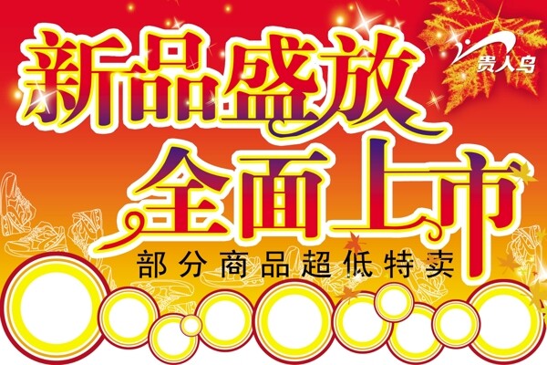 貴人鳥新品上市圖片