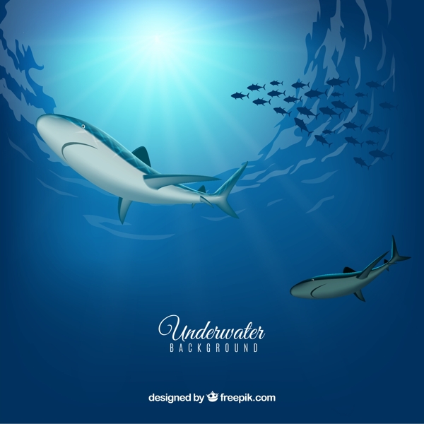 創(chuàng)意海底魚群和鯊魚
