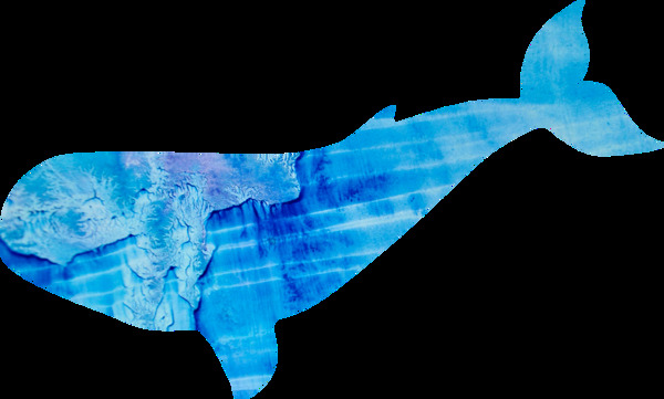 水彩卡通鲸鱼png透明素材
