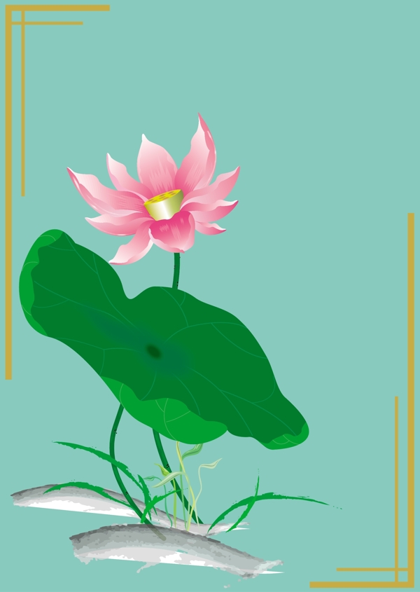 荷花圖片