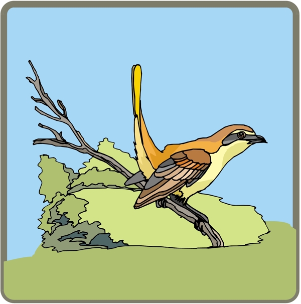 各種鳥類鳥動物矢量素材EPS格式0478