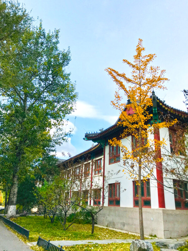 北京大學(xué)