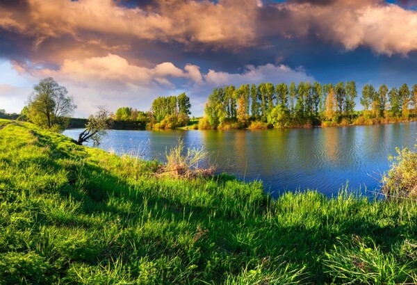 湖泊自然花草风景风光图片