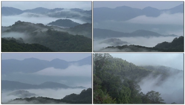 山雾重重视频素材