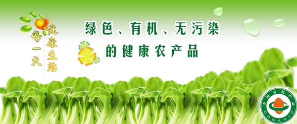 綠色蔬菜有機蔬菜健康圖片