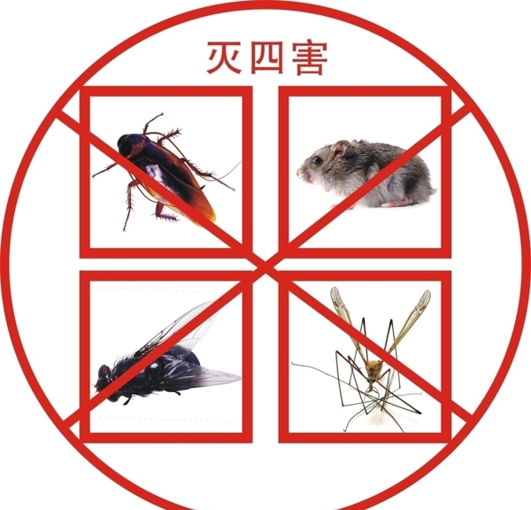 四害圖片