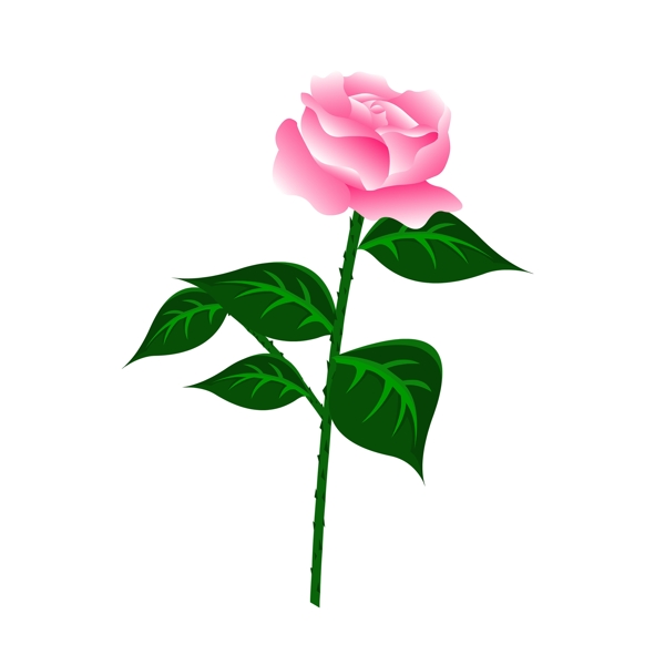 可商用高清玫瑰花粉色花朵02