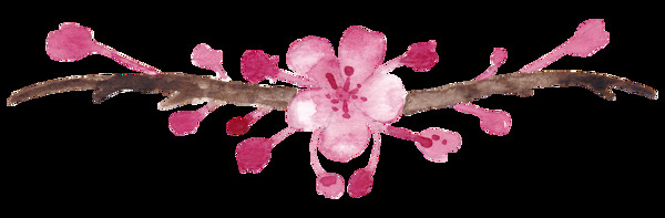 手繪水彩簡約梅花花枝png透明素材