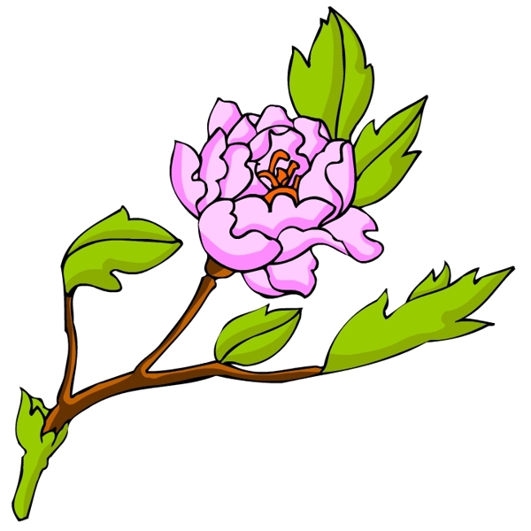花卉古典插畫