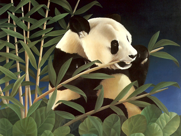 熊貓插畫圖片