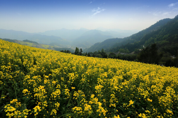 石潭村圖片