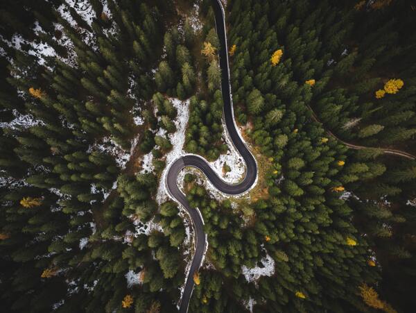 自然森林公路