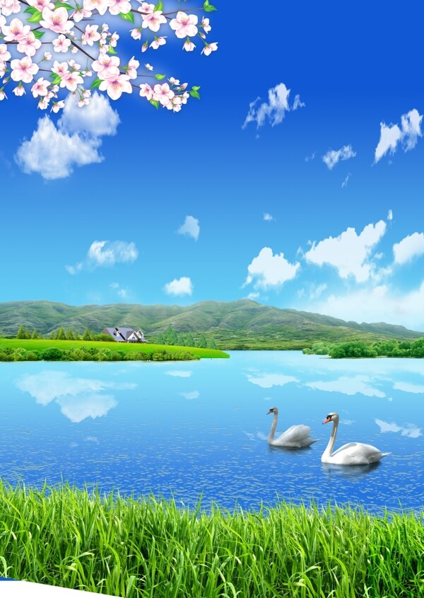 桃花圖片