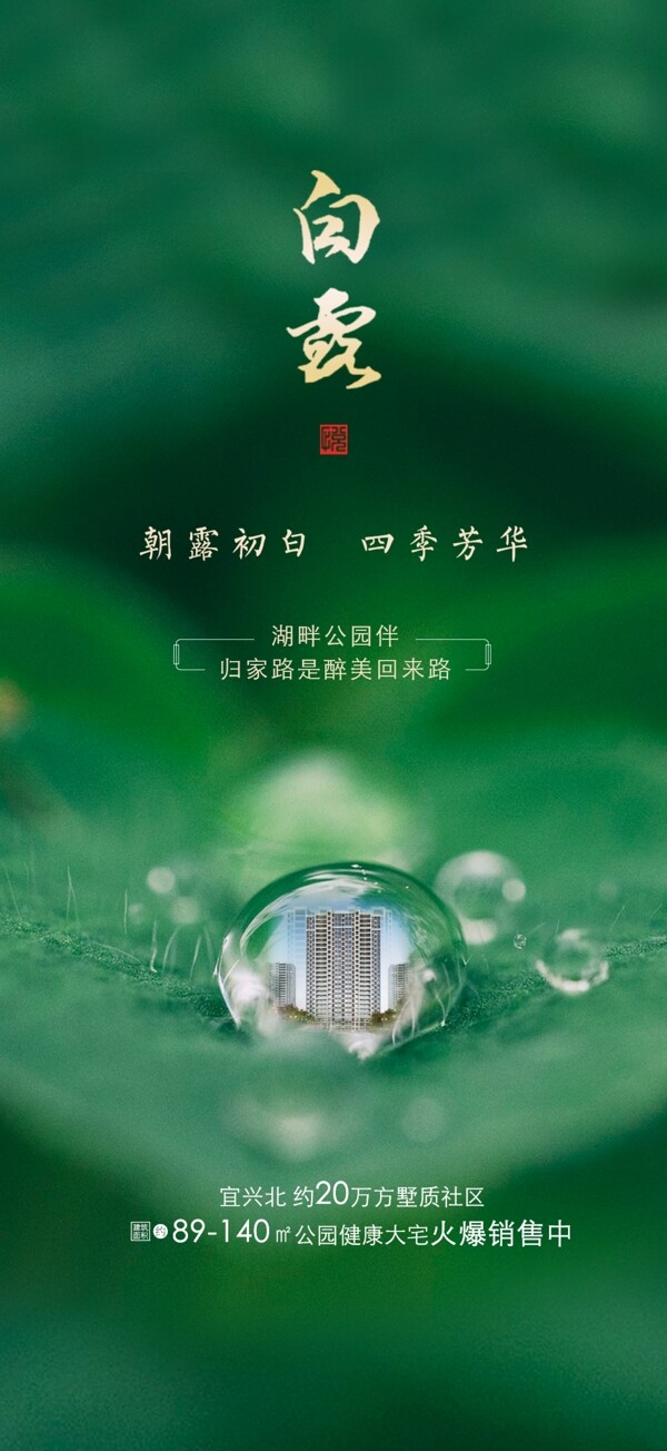 節(jié)氣海報(bào)白露