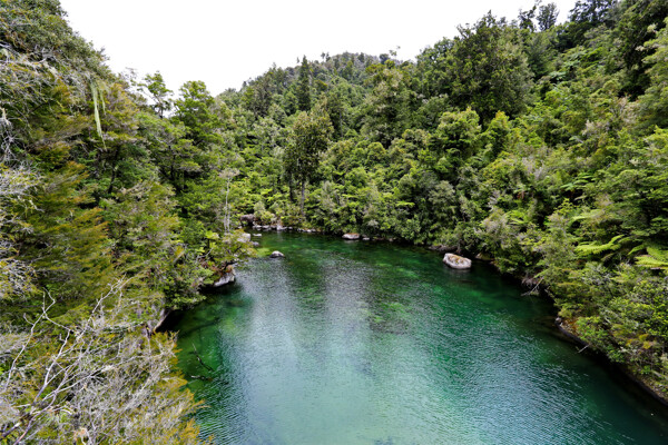 新西兰阿贝尔塔斯曼国家公园风景
