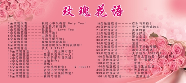 玫瑰花語圖片