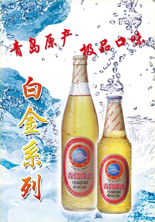 青島啤酒白金系列圖片