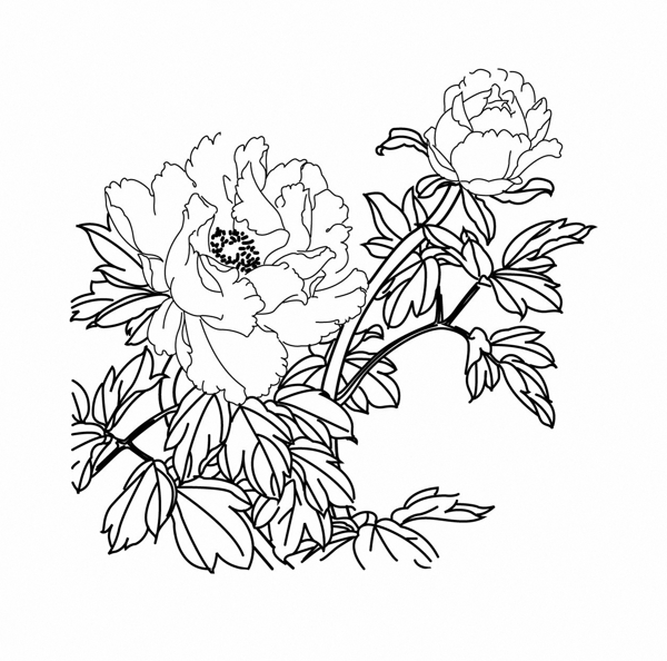 位圖植物圖案寫意花卉花朵牡丹免費(fèi)素材
