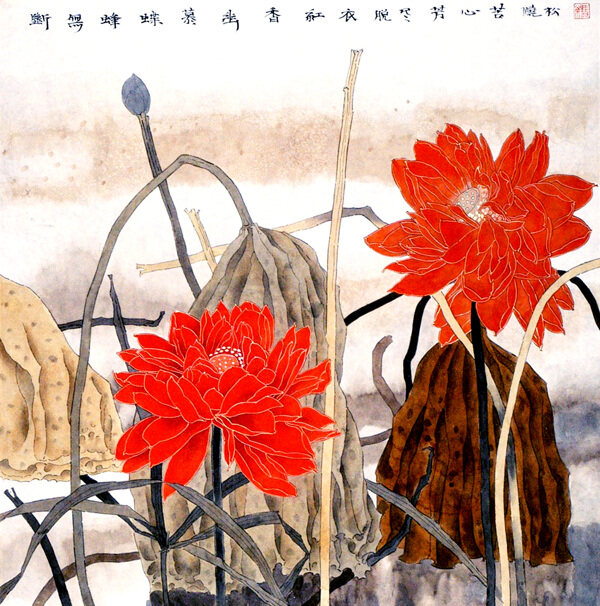 紅衣仙客圖片