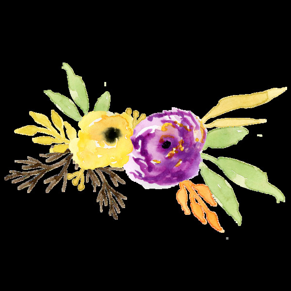 紫黃花蕊卡通水彩透明素材