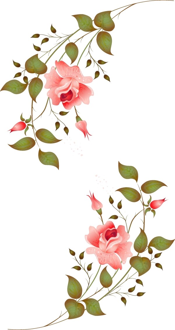 玫瑰花矢量素材
