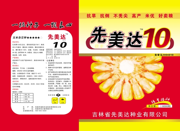 玉米種子