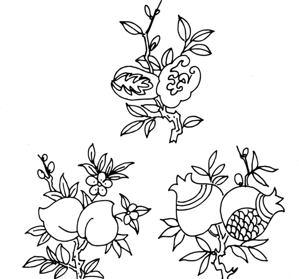 蟠桃石榴植物白描图片