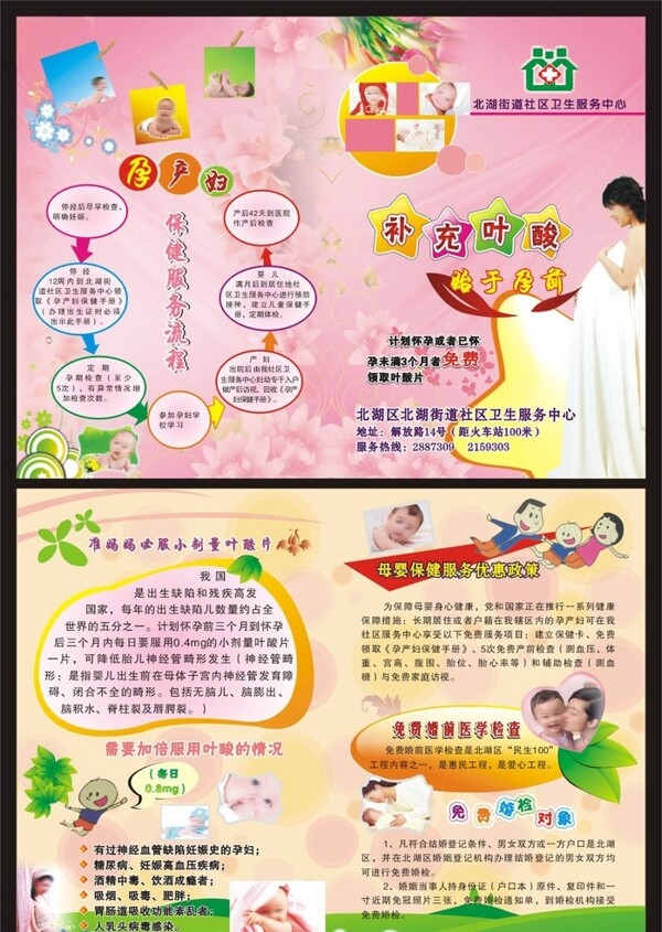 葉酸二折頁(yè)圖片