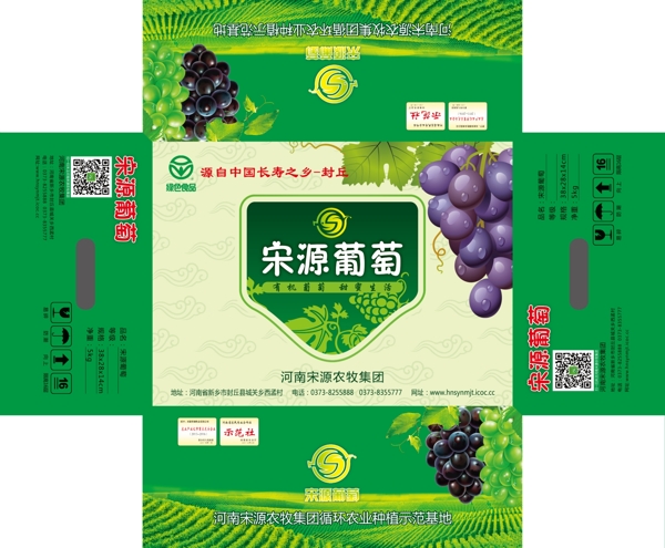 宋源葡萄圖片