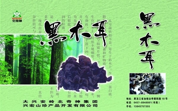 木耳箱圖片