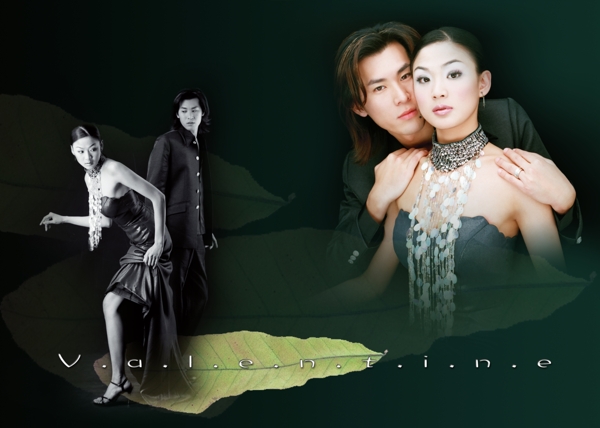 psd分層時尚青春婚紗樣冊模板