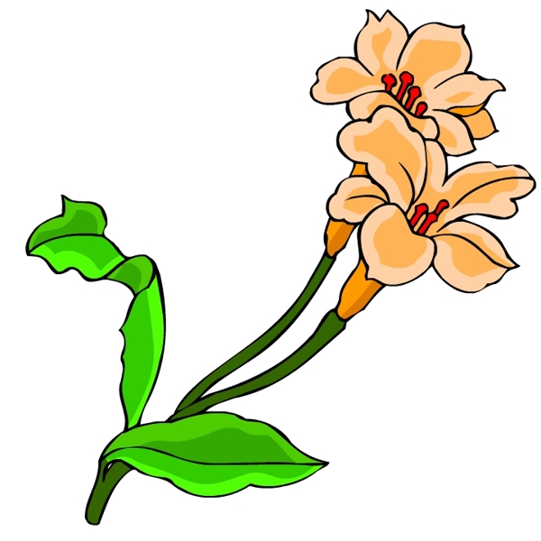 花卉古典插畫
