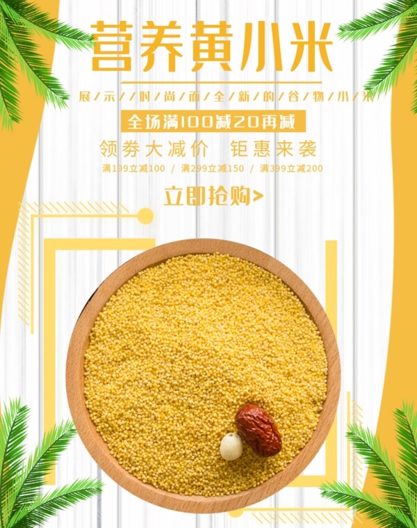 营养黄小米