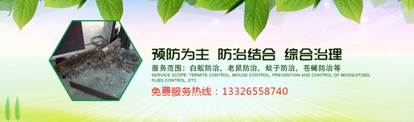 白蟻banner
