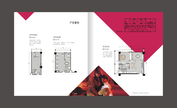 樓盤摩登會(huì)館樓書設(shè)計(jì)欣賞圖片