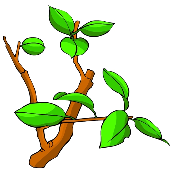 樹木古典插畫