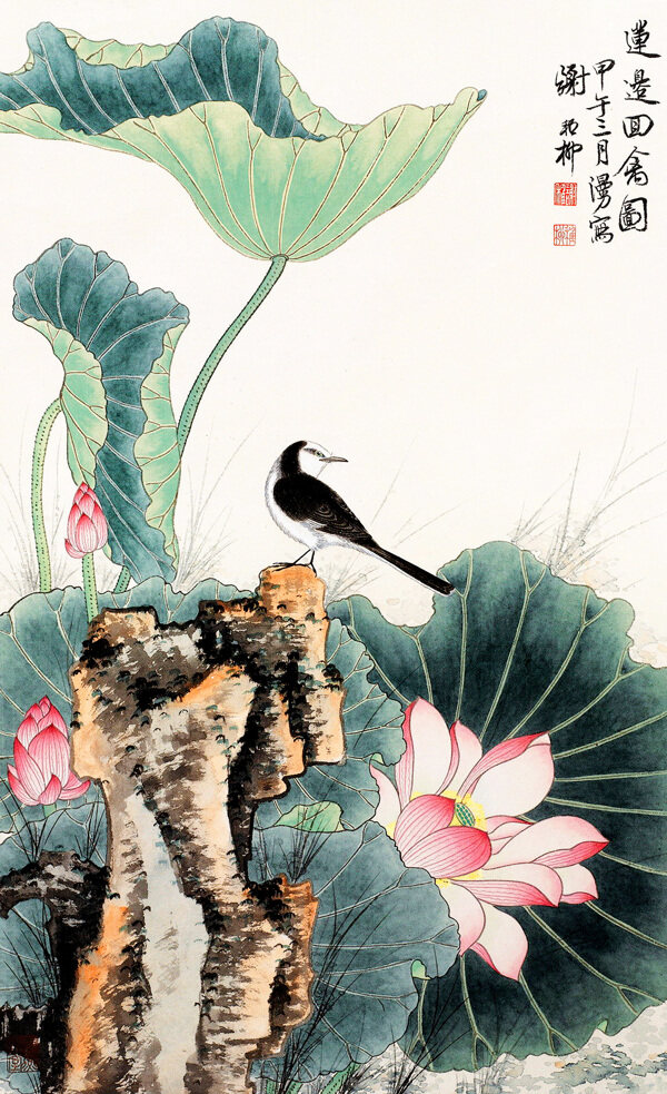 荷花小鳥圖圖片