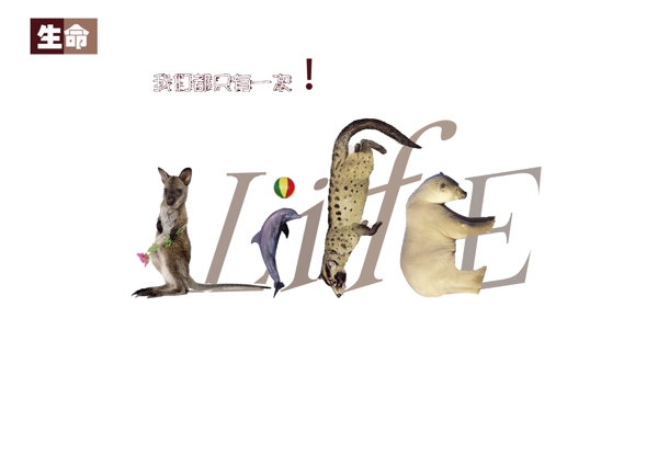 动物?；?>
                </a>
                <a href=