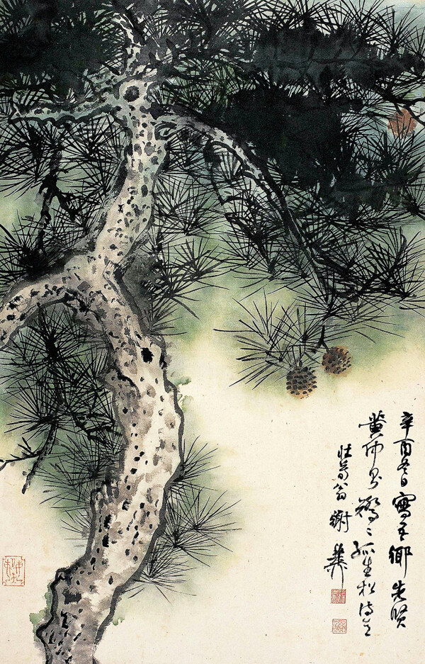 蒼松圖圖片