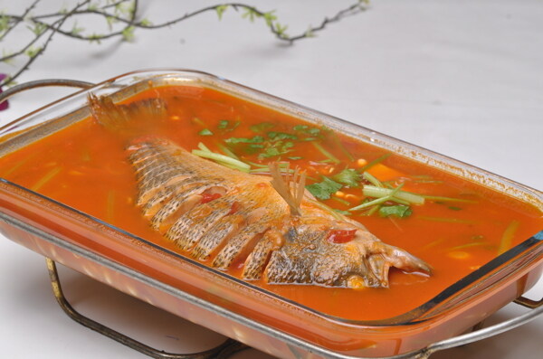 酸湯鱸魚(yú)圖片