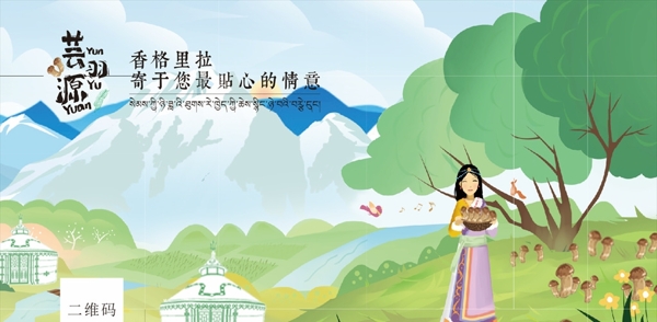 藏族松茸海报