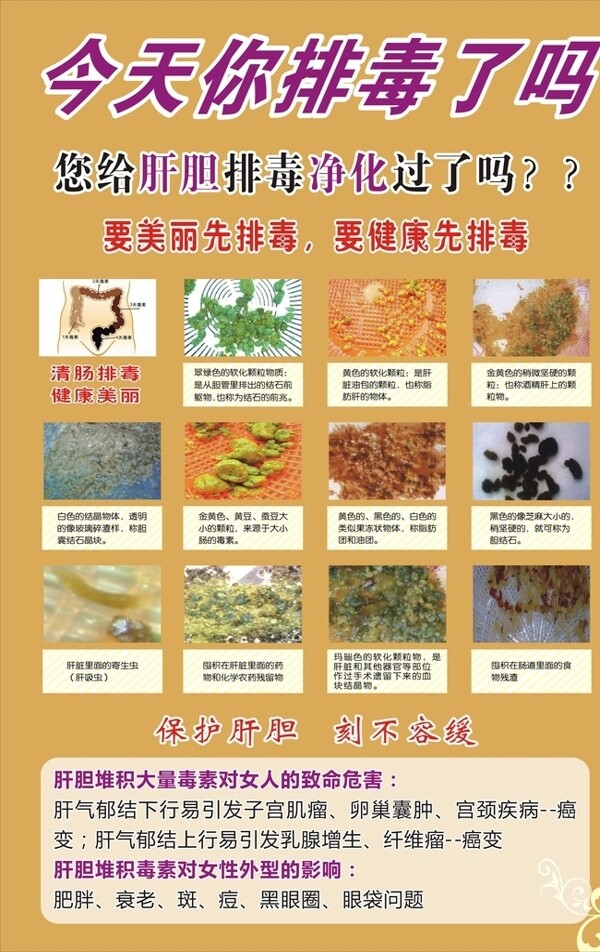排毒