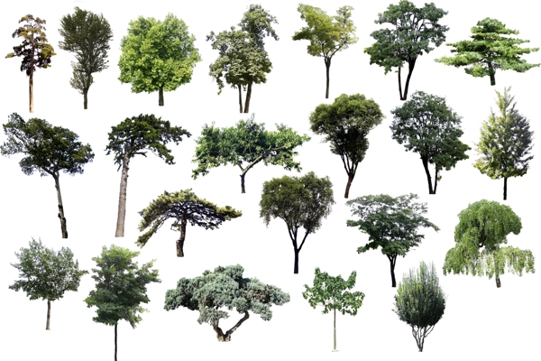 园林绿色树木设计psd分层素材图片