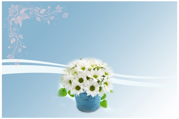 學(xué)校展板花底展板圖片
