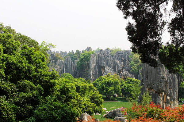 云南石林地质公园图片