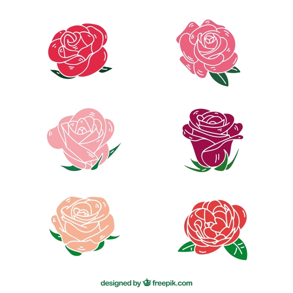 色彩鲜艳的玫瑰矢量素材